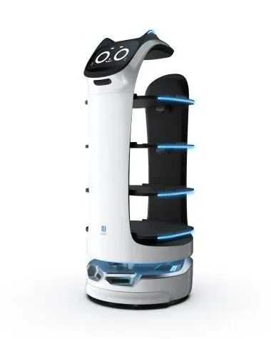 Avatar of Kerfuś; Service robot.