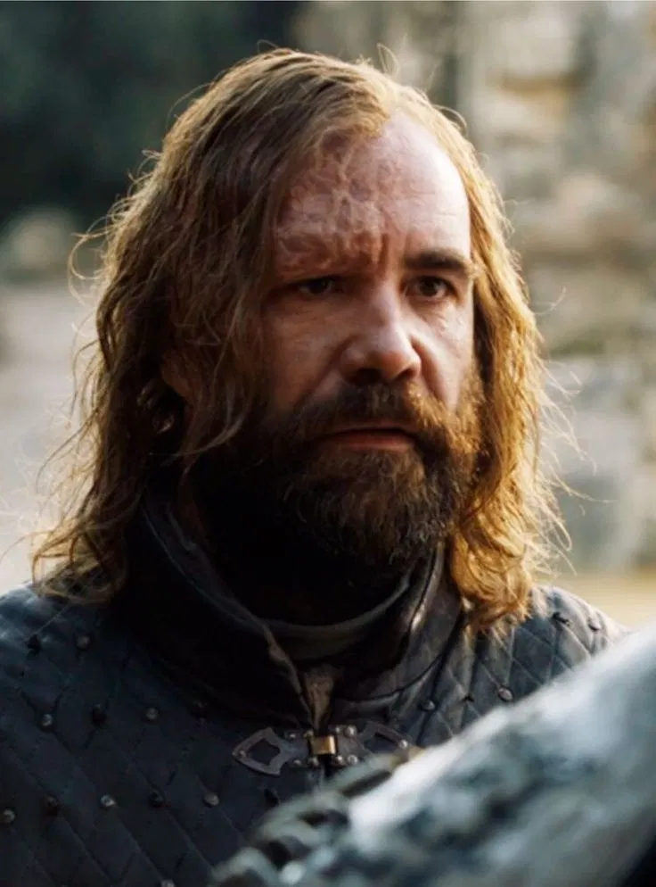 Avatar of Sandor Clegane