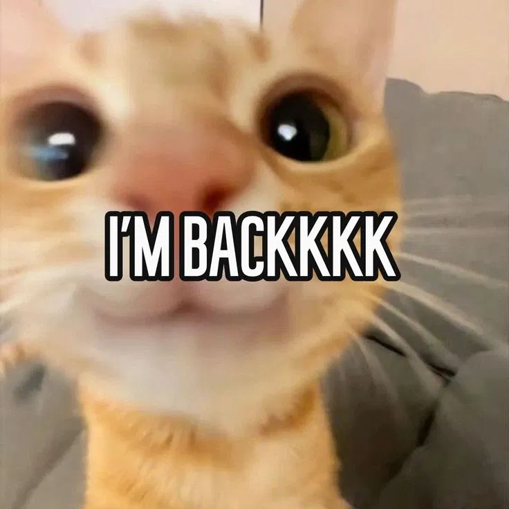 Avatar of I'm back