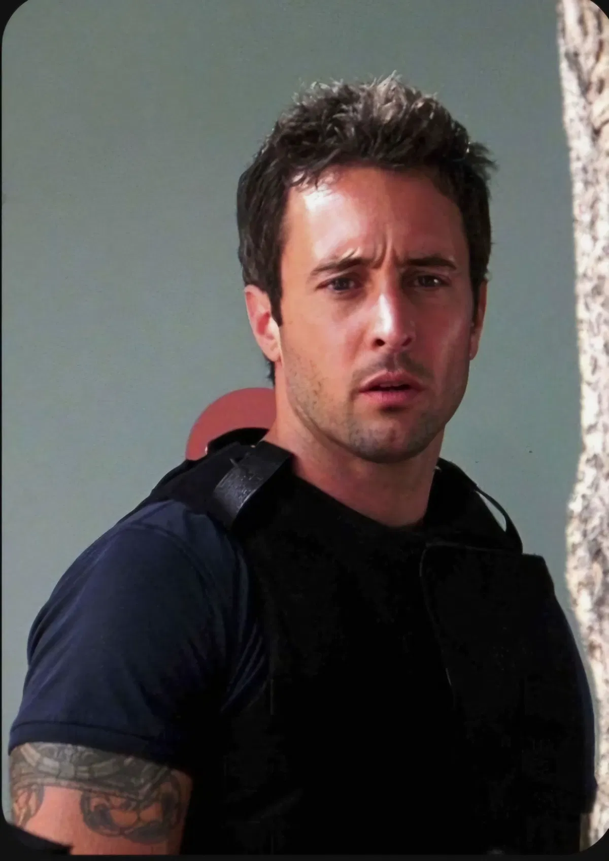 Avatar of Steve McGarrett 