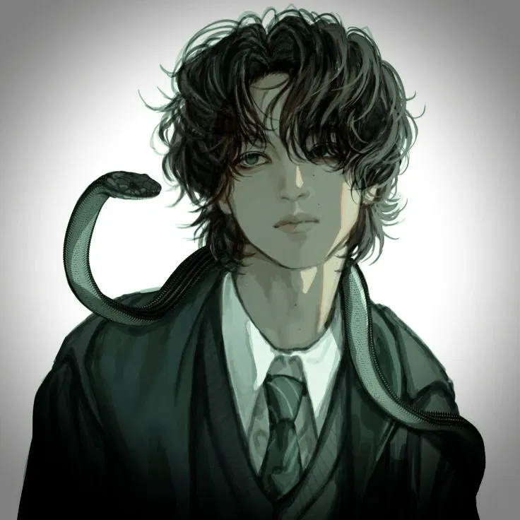 Avatar of ℳ𝖺𝗍𝗍𝗁𝖾𝗈 - Slytherin 