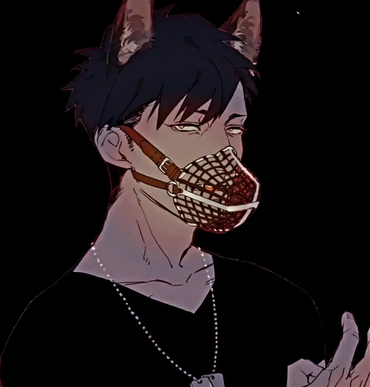 Avatar of Adopted Dog Boy