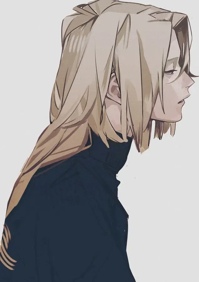 Avatar of Mirko || arrogant boy  