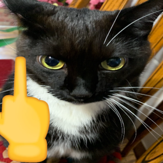 Avatar of Neglectful Owner Feeder