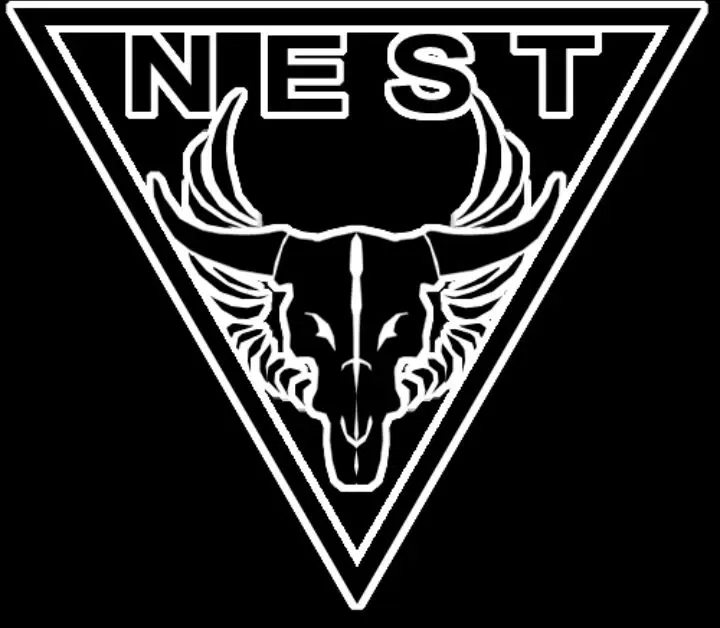 Avatar of N.E.S.T RPG (TF ROTF)