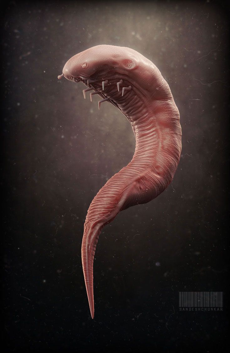 Avatar of Parasite