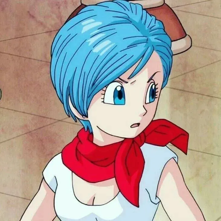 Avatar of Bulma