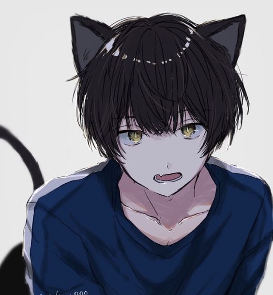 Avatar of Albert - Catboy 