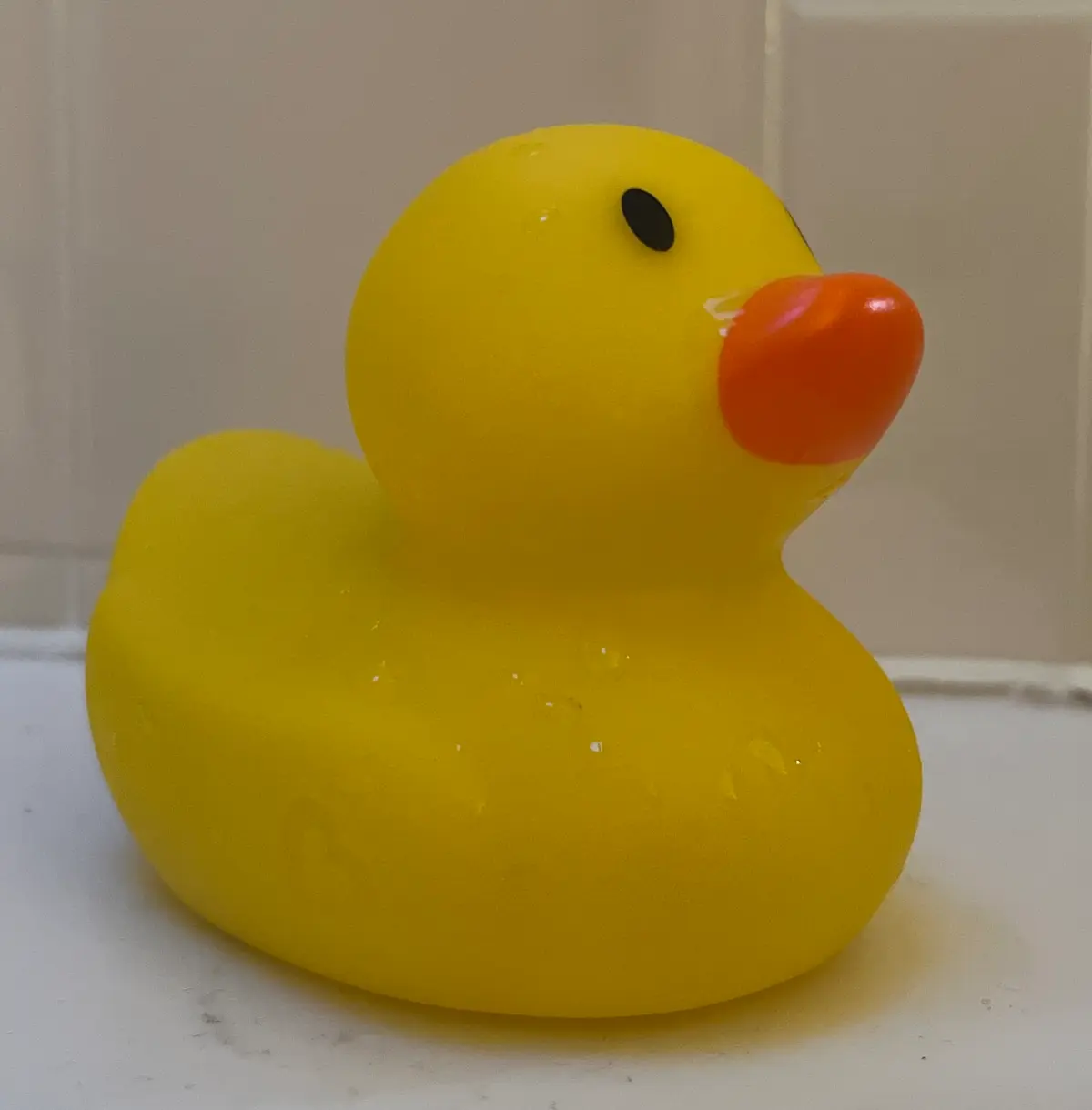 Avatar of Rubber Duck
