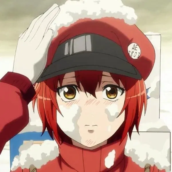 Avatar of AE3803 || Red Blood Cell