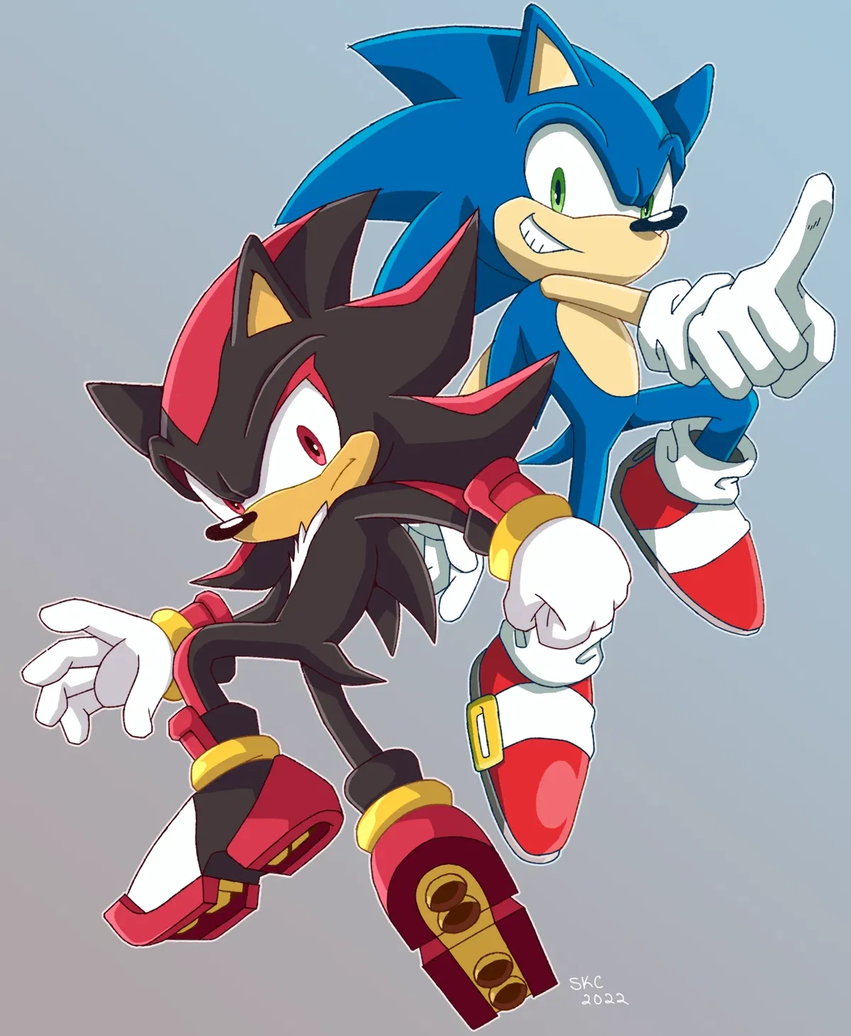 Avatar of Sonic and Shadow the Hedgehog