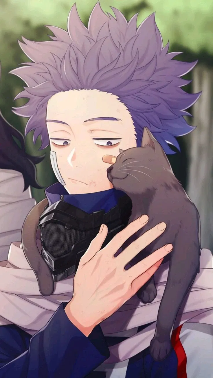 Avatar of Hitoshi Shinsou
