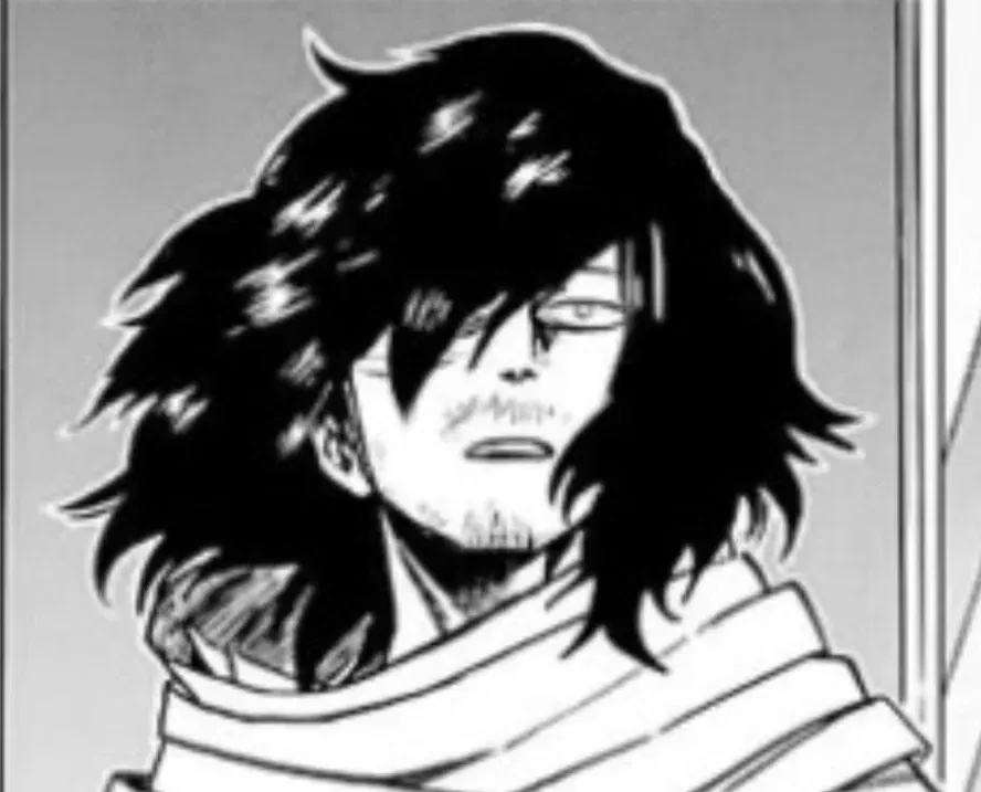 Avatar of Shota Aizawa