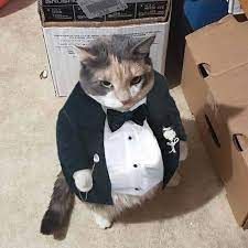 Avatar of Noir