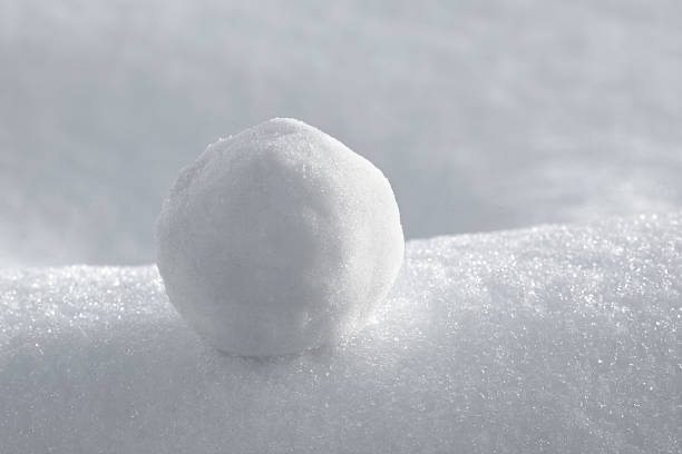 Avatar of Snowball 2: Electric Bogaloo