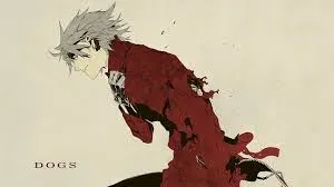 Avatar of Fin