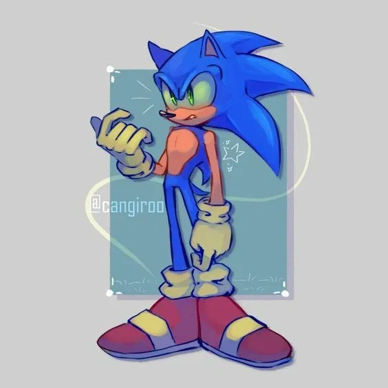 Avatar of Sonic - Sonknux