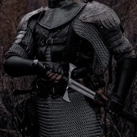 Avatar of Knight | Asli Nightwing 