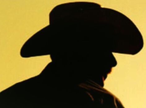 Avatar of Cowboy Austin