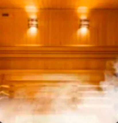 Avatar of Pokémon Sauna