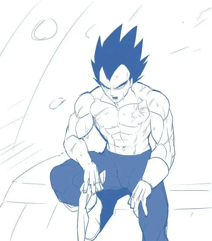 Avatar of Vegeta | A grumpy husband.