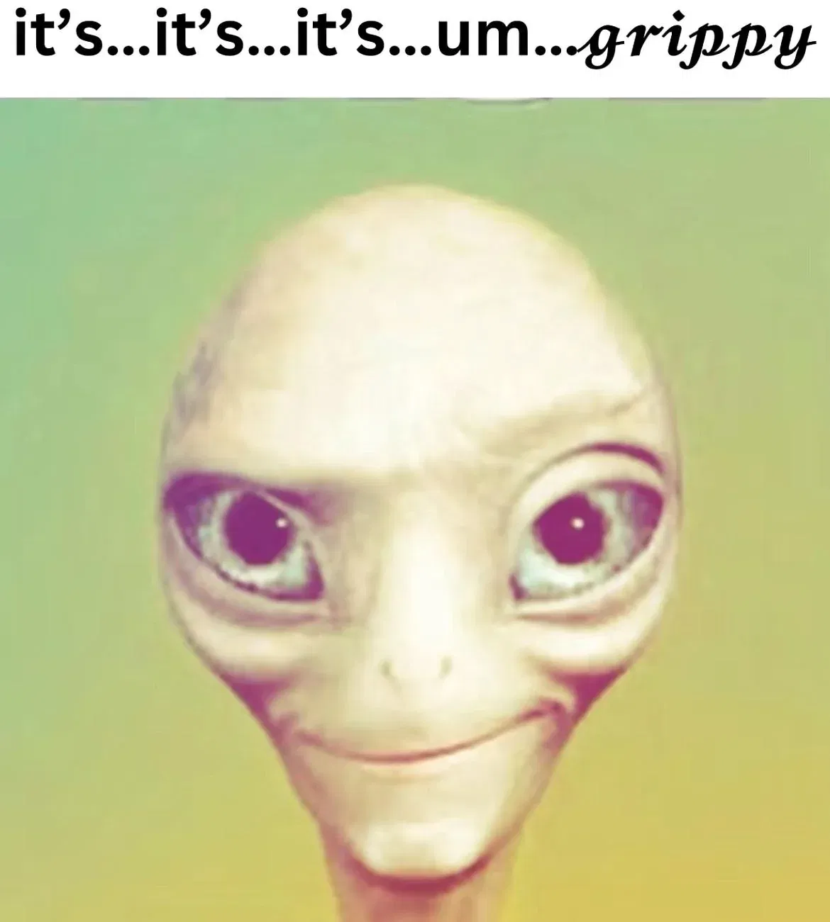 Avatar of Bingos