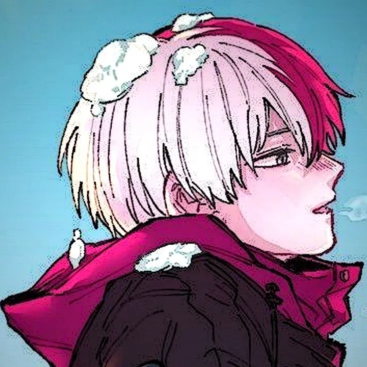 Avatar of Shoto Todoroki (Shoto) ❄️🔥 || My Hero Academia || MHA 