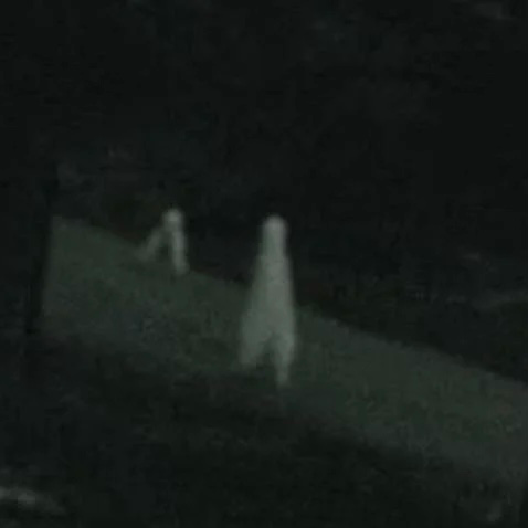 Avatar of Group of Fresno Nightcrawlers