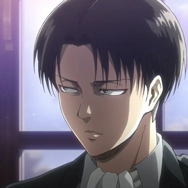 Avatar of Levi Ackerman 