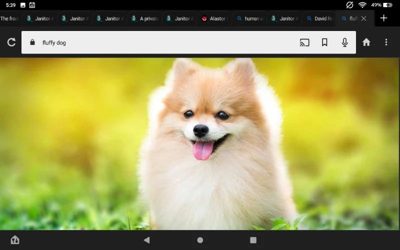 Avatar of Dog