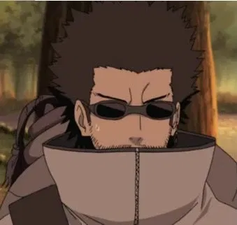 Avatar of 🪲 Aburame Shibi 🪲