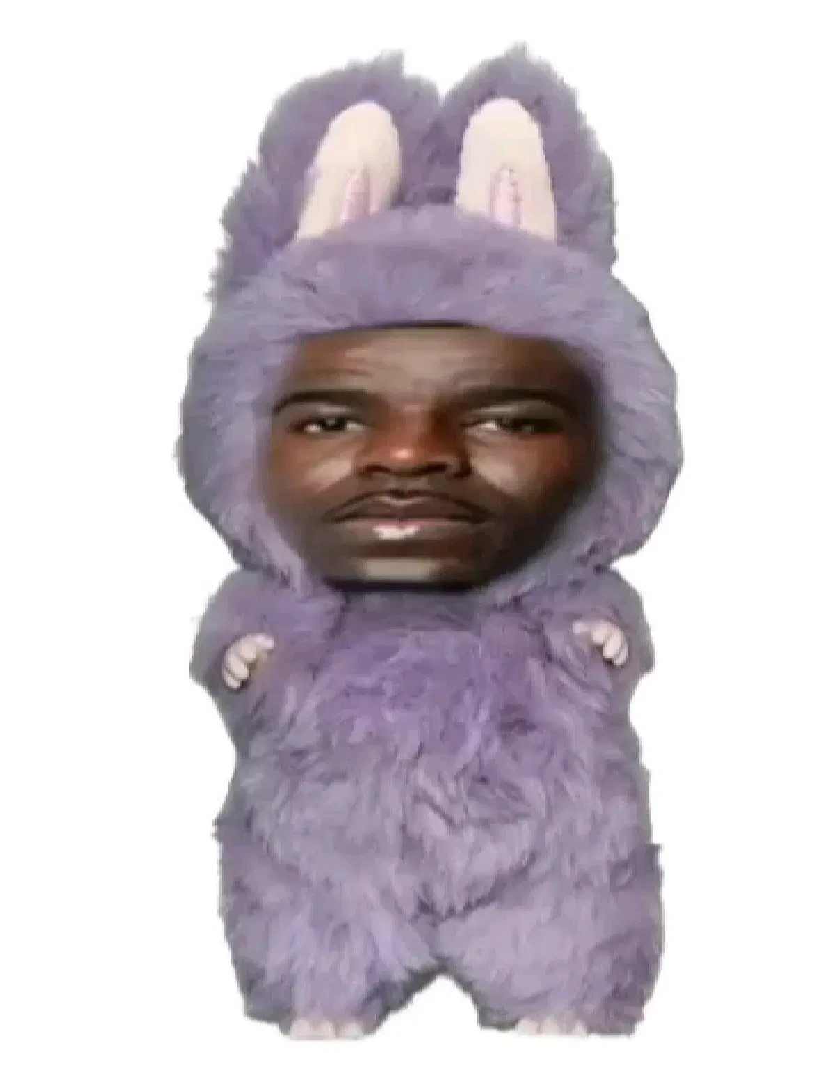 Avatar of LABUBU CRAZE GONE WRONG