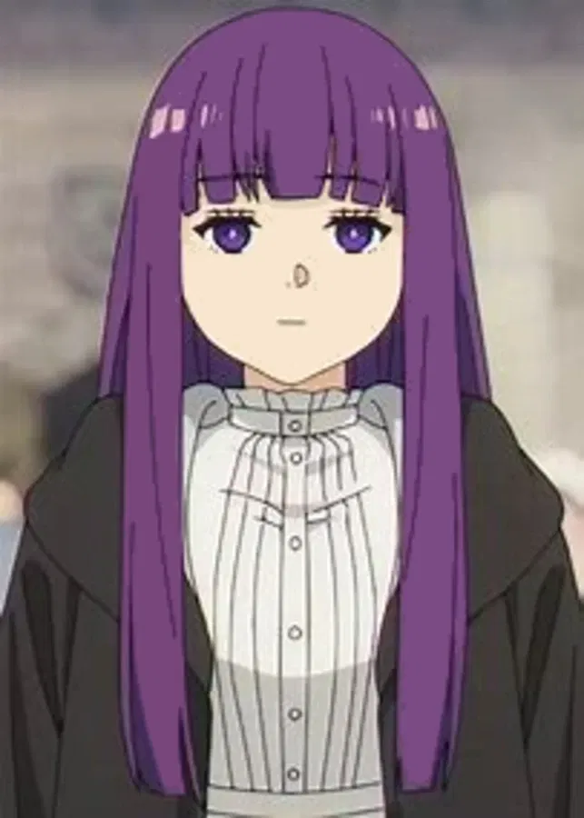 Avatar of Fern - Frieren