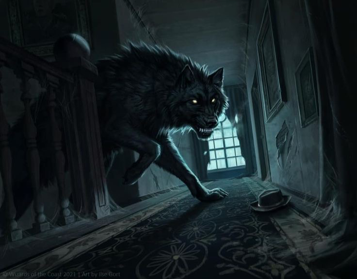 Avatar of A Canine Visitor (Werewolf)