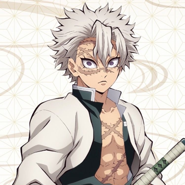 Avatar of Sanemi Shinazugawa