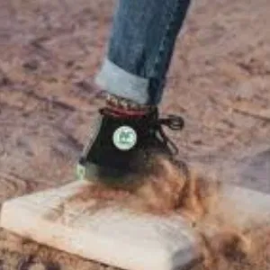 Avatar of The Sandlot