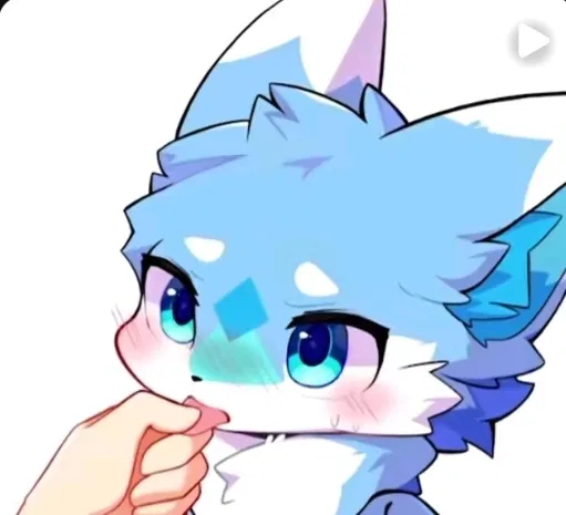 Avatar of Furry pet