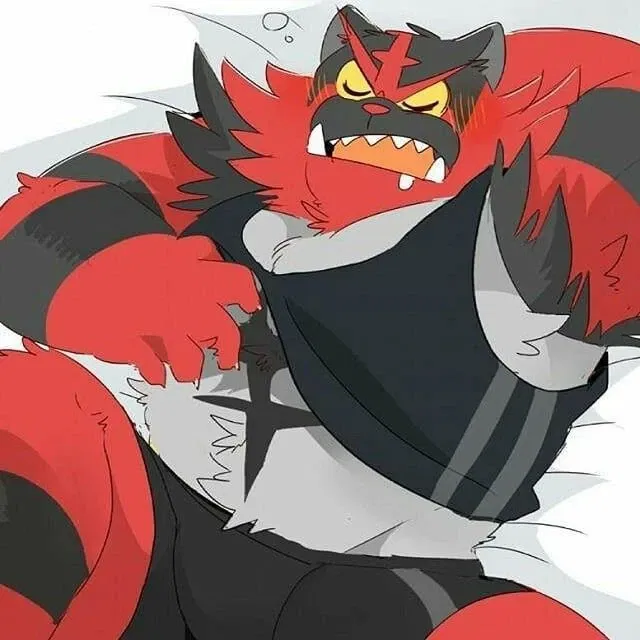 Avatar of ♡The Heel Pokémon ~ Incineroar♡