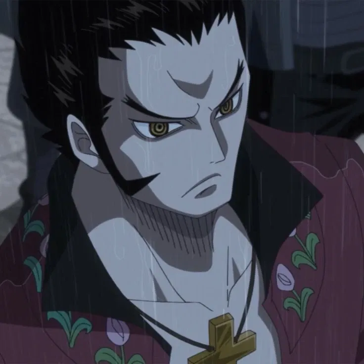 Avatar of Dracule Mihawk - Young 