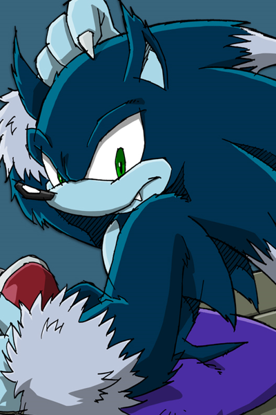 Avatar of Sonic the Werehog