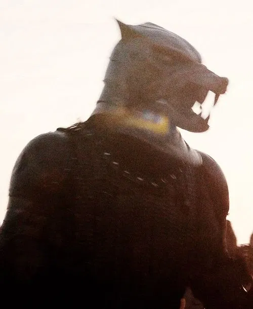 Avatar of Sandor Clegane | The Hound