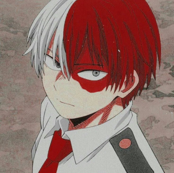 Avatar of Shoto Todoroki