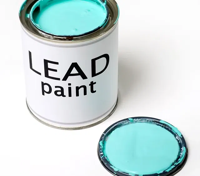 Avatar of Lead Paint