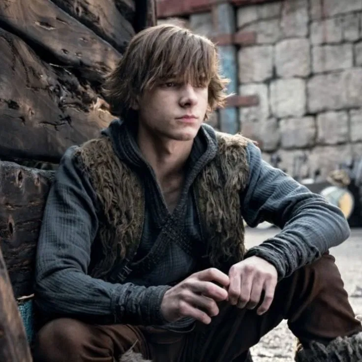 Avatar of Hiccup Haddock 