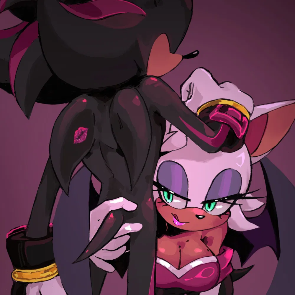 Avatar of ˚₊۶ৎ˙⋆ Shadow and Rouge