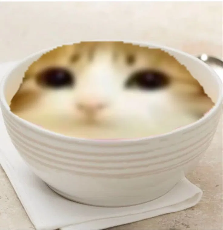 Avatar of bowl meowl