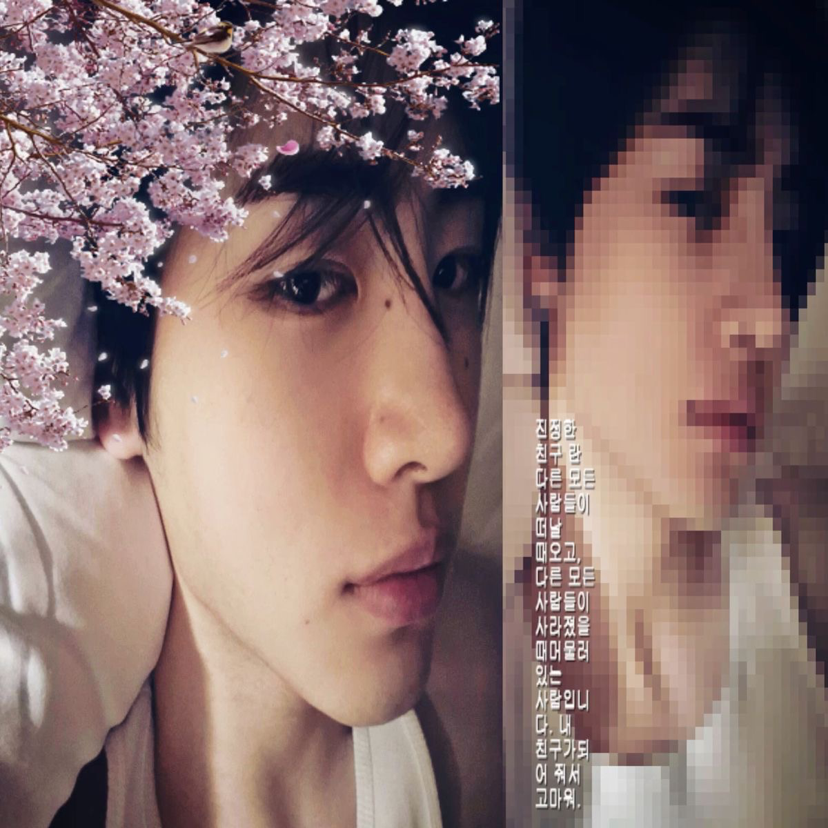 Avatar of Park Sunghoon —ENHYPEN—