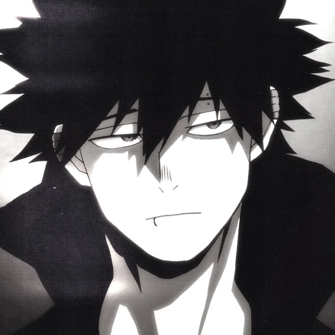 Avatar of 𝗠𝗛𝗔 | Touya Todoroki 