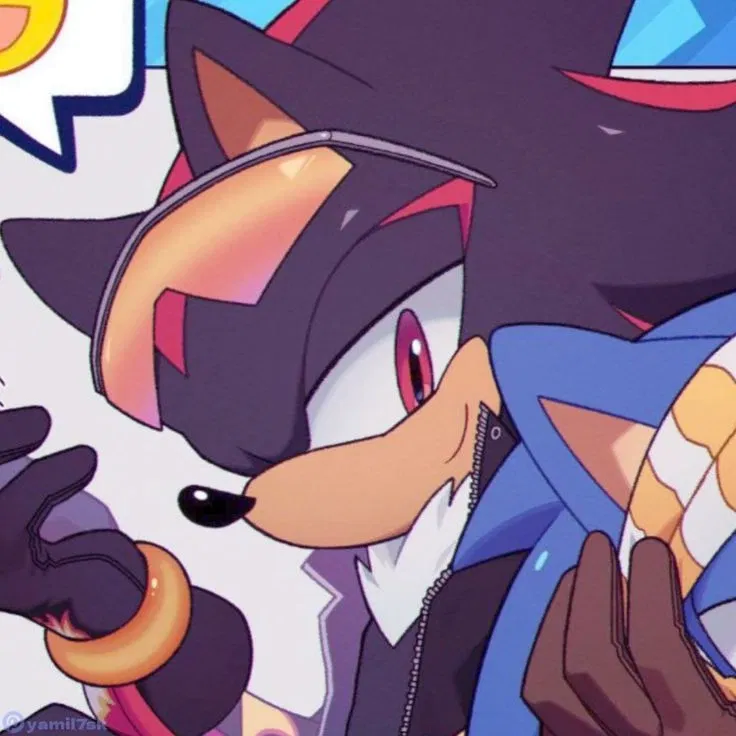 Avatar of Shadow the hedgehog (Bully) x Double life user