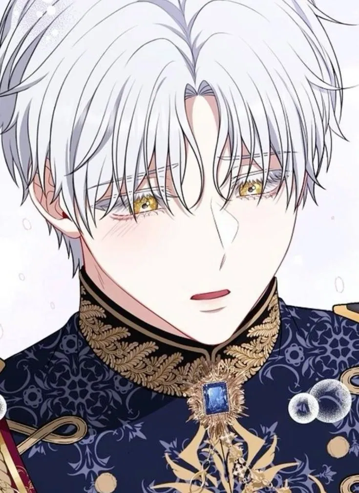 Avatar of Silvain Hollinse 
